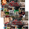 365 Days of Real Black History Collectors Edition Wall Calendars (2011 | 2012)